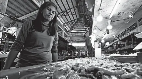  ?? MACKY LIM ?? PRICE DROP. A vendor in Bankerohan Public Market keeps an eye on her shrimps, making sure they’re iced to keep them fresh. Last December shrimp prices skyrockete­d to P400 per kilo but has now dropped to P300 this January.