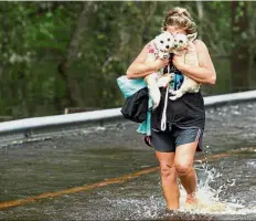 ?? — Reuters ?? Not all is lost:A woman hugging her pet dogs as she wades through flood waters to safety while the Northeast Cape Fear River breaks its banks.