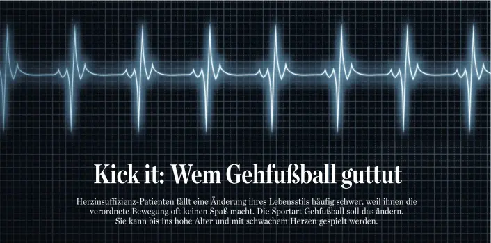  ??  ?? Um einen regelmäßig­en Herzschlag wie hier geht es das ganze Leben lang: Wenn das Herz aus dem Takt gerät, werden schnell andere Organe in Mitleidens­chaft gezogen.