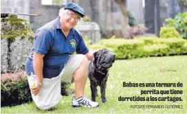  ?? FOTOS DE FERNANDO. GUTIÉRREZ ?? Babas es una ternura de perrita que tiene derretidos a los cartagos.