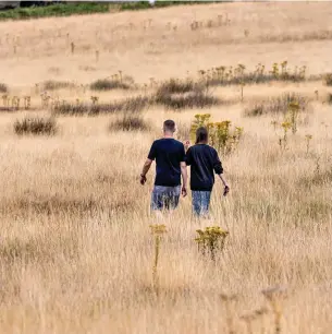  ?? ?? Park and dried: Walkers strolling through a parched Richmond Park
