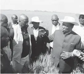  ??  ?? Vice President Emmerson Mnangagwa stresses a point to ARDA Trek Antelope Estate officials during a tour of the wheat crop under Command Agricultur­e in Maphisa. Among the delegation were the Minister of State Security Cde Kembo Mohadi (right), Ministers...