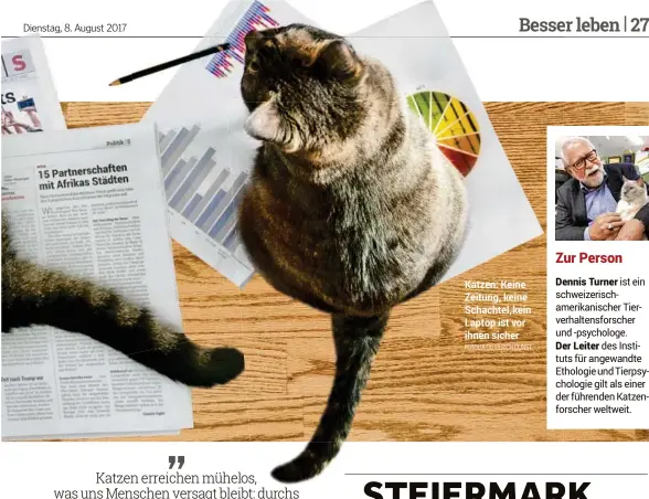  ?? FOTOLIA (3), ULRICH DUNST ?? Katzen: Keine Zeitung, keine Schachtel, kein Laptop ist vor ihnen sicher