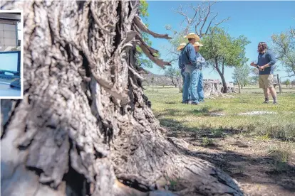  ?? EDDIE MOORE/ JOURNAL ?? Matthew Mercer, right, with the Philmont Scout Ranch, talks to, from left, Trey Mitchell, 15, from Santa Fe, Wade Hatch, 15, from Fruitland, and Bailey McKnight, 17, of Tucumcari, about the family graveyard at the Chase Ranch near Cimarron. The...