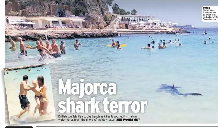  ??  ?? PANIC Bathers run for their lives as shark lurks in shallows PIC: Solarpix.com