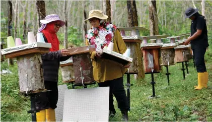  ??  ?? The women hard at work in their bee farm. – BERNAMAPIX