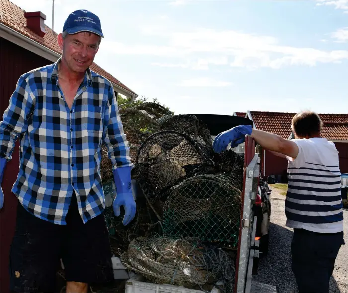  ?? Bild: Arvid Brandström ?? Tusentals fiskar, humrar och krabbor svälter ihjäl i förlorade hummertino­r. Per-Olof Samuelsson försöker få bukt med problemet.