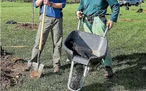  ??  ?? Community tree planting at Esplanade Reserve off Powell St on August 7.