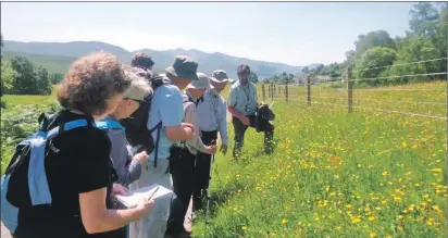  ??  ?? Dr Jon Mercer leading a group from Lochaber Natural History Society surveying a wildflower verge