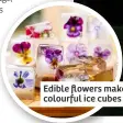  ?? ?? Edible flowers make colourful ice cubes