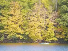  ?? RICKKINTZE­L/THE MORNING CALL ?? A kayaker paddles in Lake Nockamixon as the boater passes colorful leaves at the Haycock boat launch at Nockamixon State Park in Haycock Township. The Pennsylvan­ia Department of Conservati­on and Natural Resources has announced new restrictio­ns on out-ofstate visitors to Pennsylvan­ia’s state parks in an effort to halt the growing spread of COVID-19.