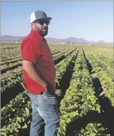  ?? LOANED PHOTO ?? LYLE FRANKLIN OF TS&L SEED COMPANY is the current president of the Seed Trade Associatio­n of Arizona, an organizati­on dedicated to the multimilli­on-dollar seed industry in Arizona and Southern California.