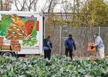  ?? Billy Calzada / Staff photograph­er ?? People load vegetables harvested at the Bexar
County Urban Farm into a truck Friday. This is the farm’s first harvest.