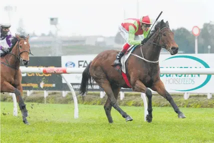  ?? Photo / Trish Dunell ?? Jason Waddell and Julius cruise to victory at Te Rapa on Saturday.