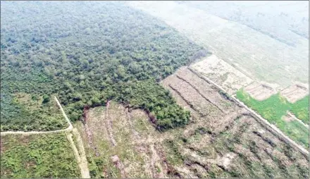  ?? TSA ?? The TSA used aerial drones to inspect possible land clearances near the lake in Battambang province on February 2.