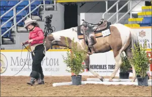  ?? CHRISTIAN ROACH/CAPE BRETON POST ?? Helen Morley is seen guiding her horse after competing in the open trail segment of the 2017 Sydney horse Expo at Centre 200 on Saturday.