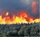  ??  ?? DEVASTATIN­G LOSSES: A total of 76km² of private timber plantation­s were destroyed in the recent Garden Route fires