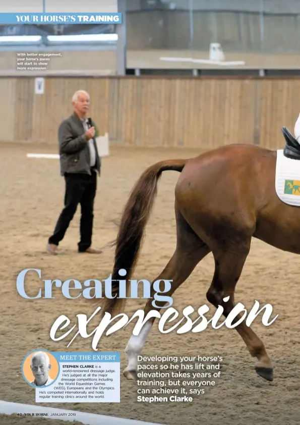  ??  ?? With better engagement, your horse’s paces will start to show more expression