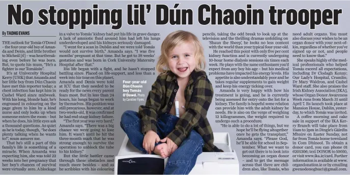  ?? Four-year-old Dún Chaoin boy Tomás O’Dowd. Photo by Caroline Flynn. ??