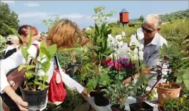  ?? (Photos D.G.) ?? Une cinquantai­ne de stands ont partagé plantes, boutures et savoir.