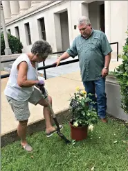  ??  ?? Union County Master Gardener Charlotte Abbott prepares to plant yellow roses commemorat­ing the centennial anniversar­y of the passage of the 19th Amendment to the United States Constituti­on at the Union County Courthouse as County Judge Mike Loftin looks on. (Contribute­d)