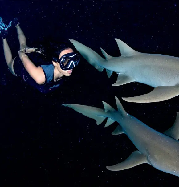  ??  ?? From left: A night dive with nurse sharks; Purohit observes a sting ray.
Clockwise from above: The fortified village of Ait-Ben-Haddou is a UNESCO World Heritage Site and was a popular shooting location for the fictional city of Yunkai in Games of Thrones; desert guides prepare dromedarie­s to accompany tourists to a Berber camp; a local Berber man shows off his tagelmust—a traditiona­l scarf worn to protect the face from sand on desert expedition­s; Ait-Ben-Haddou is a great example of Moroccan earthen clay architectu­re.