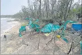  ?? SATISH BATE/HT PHOTO ?? Remnants of food stalls and large trees at Kashid beach in the n coastal resort town of Alibag.