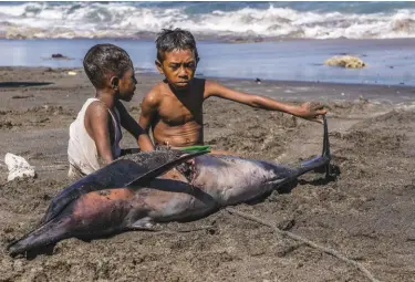  ??  ?? OPPOSITE PAGE: The fishermen return in the late afternoon with their catch, usually consisting of flying fish, but also of manta rays, dolphins, sharks and turtles
IMAGE: Claudio Sieber LEFT: Even the youngest children participat­e in helping the...