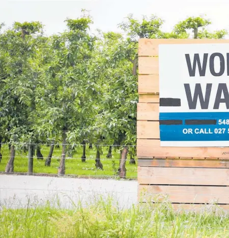  ??  ?? Fruit growers have faced acute labour shortages. Inset: RocketWerk­z CEO Dean Hall.