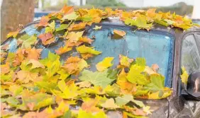  ?? Photo / Getty Images ?? Wet leaves left to rot on vehicles can cause unsightly stains.