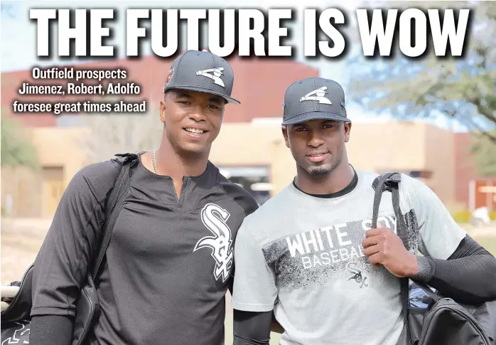  ?? | JOHN ANTONOFF/ FOR THE SUN- TIMES ?? Eloy Jimenez ( left) and Luis Robert would love to play together in the White Sox’ outfield in the near future. They’re two of the organizati­on’s most highly touted prospects.