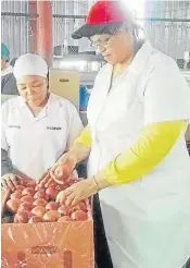  ??  ?? HANDS ON: Velicia Janse, owner of Oudrif Trufe Farm, helps box apples