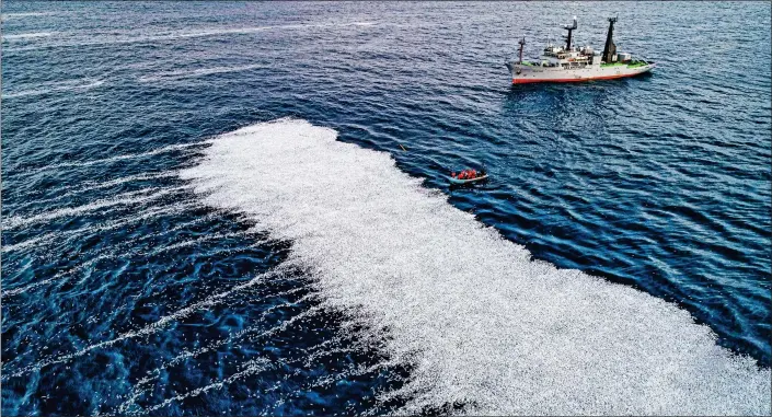  ?? ?? SEA CARPET: Campaigner­s from Sea Shepherd, with their own vessel in the background, survey the massive catch dumped by FV Margiris off the French coast. Trawlermen say their net burst