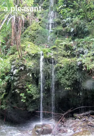  ??  ?? Above right: A waterfall makes a pretty picture.