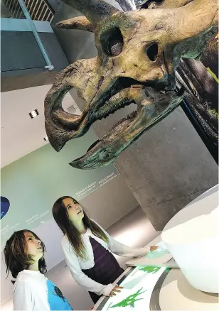  ?? SVJETLANA MLINAREVIC / GRANDE PRAIRIE DAILY HERALD-TRIBUNE ?? Brendan Side, left, and his sister Scarlet check out the head of a Ceratopsia­n at the award-winning but destitute Philip J. Currie Dinosaur Museum near the town of Wembley, Alta., in 2015.