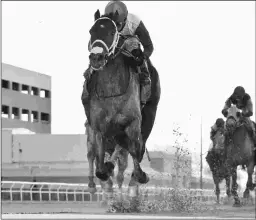  ?? ADAM COGLIANESE/NYRA ?? Manny Franco will be reunited with Firenze Fire on Saturday.