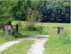  ?? Foto: Stephanie Millonig ?? Diese Brücke über die Schweinach bei Hechenwang wird künftig nur noch Fußgän gern zur Verfügung stehen.