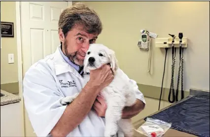  ?? CONTRIBUTE­D ?? Veterinari­an Steve Winokur, who owns Pharr Road Animal Hospital in Buckhead, is a finalist in a competitio­n to find the vet of the year.