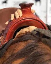  ??  ?? RIGHT: Once you’ve checked your wither clearance, turn your palm so it’s facing downward and straighten your four fingers. Then slide your hand and arm along your horse’s back and into the gullet channel to check gullet-channel width. You want enough room for the spinal ligament, which is about four fingers wide.