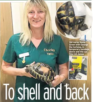  ??  ?? Vet nurse Sonia Green with George the tortoise, in temporary bandage, above and the car filler kit, below