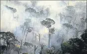  ?? REUTERS/ FILE ?? ■
Smoke billows from a fire in the Amazon rainforest.