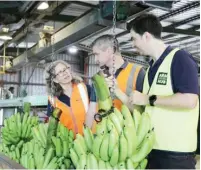  ?? ?? Collaborat­ion between farmers and scientists has been a key focus of the project. (Supplied: Australian Banana Growers’ Council)