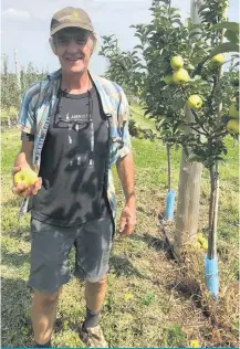  ??  ?? L’hybrideur Roland Joannin travaille à développer des variétés de pommes hybrides depuis plus de 30 ans.