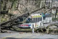  ?? THE ASSOCIATED PRESS ?? A bus is covered by a tree that collapsed onto power lines due to a storm last Friday in Philadelph­ia, Sunday. The road is closed until crews can clean the mess.