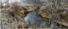  ?? Foto: Karin Marz ?? An einem Teilstück der Neufnach westlich vom Rathaus in Langenneuf­nach soll eine Erholungsm­öglichkeit für Erwachsene wie auch für Kinder entstehen.