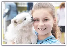  ?? ?? Charlotte Hall, 9, of Hobart with her Japanese Spitz Comet.