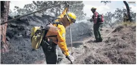  ?? ESPECIAL ?? ATENCIÓN. Brigadista­s de Semadet trabajan para mitigar un siniestro. La dependenci­a llama a la ciudadanía a hacer sus reportes de incendios forestales al 33 3636 8252 o al 800 INCENDIO (4623 6346).