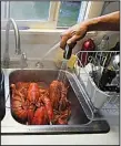  ?? The Washington Post/MATT MCCLAIN ?? A lobsterman rinses off freshly cooked lobster at his home in Maine. As Episcopali­ans across the nation prepare for their respective annual lobster dinners, People for the Ethical Treatment of Animals is asking that they abandon the practice of...