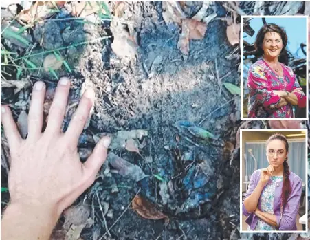  ??  ?? Alleged yowie footprint found in the Currumbin Valley, and (insets) Currumbin MP Jann Stuckey (top) and Gold Coast Skeptics president Dr Paulina Stehlik (bottom), who are calling for more evidence to back-up yowie sighting claims.
