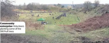  ??  ?? Community enterprise Volunteers planting some of the 300 fruit trees